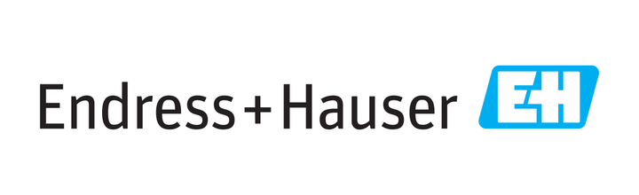 Endress+Hauser logo